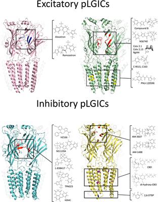 Pentameric Ligand-Gated Ion Channels as Pharmacological Targets Against Chronic Pain